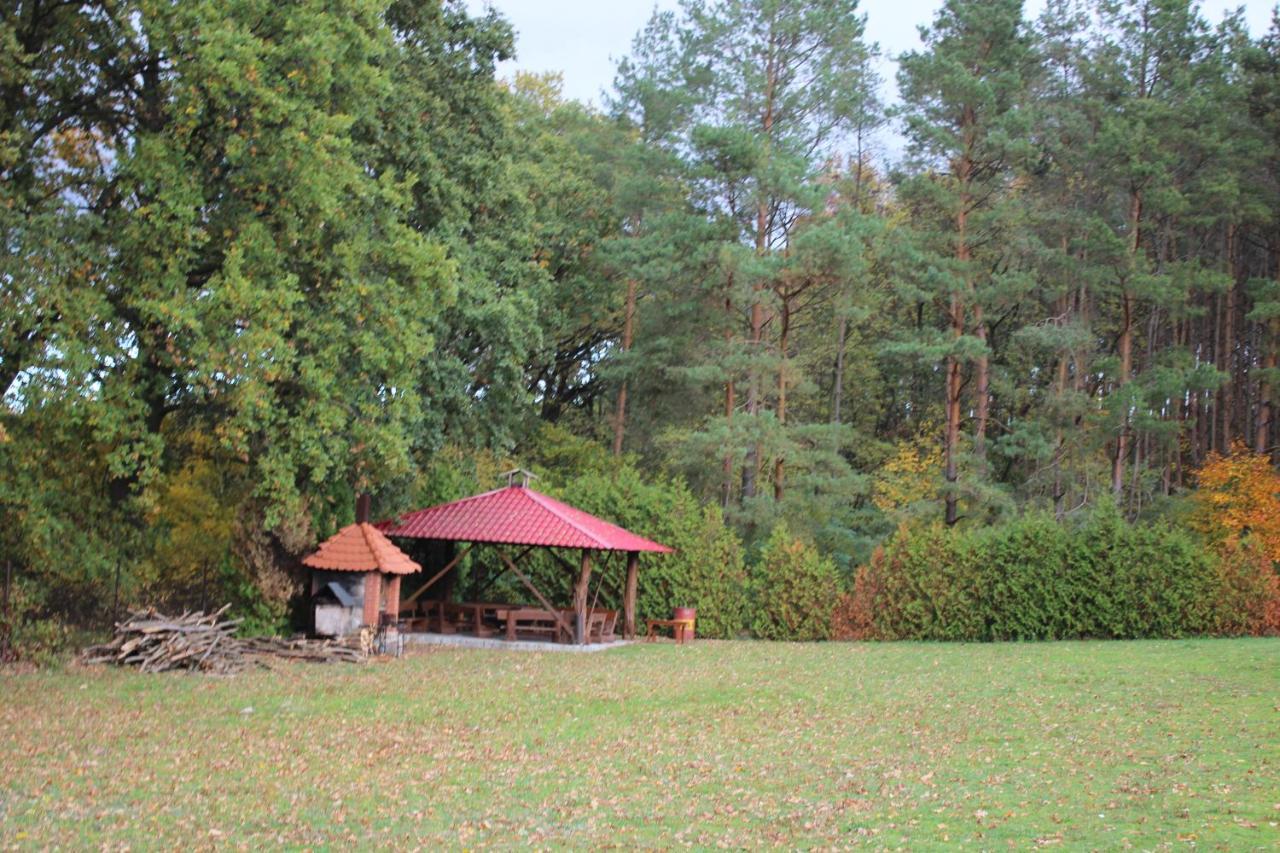 Gospodarstwo Agroturystyczne Agroletnica Świdnica Εξωτερικό φωτογραφία