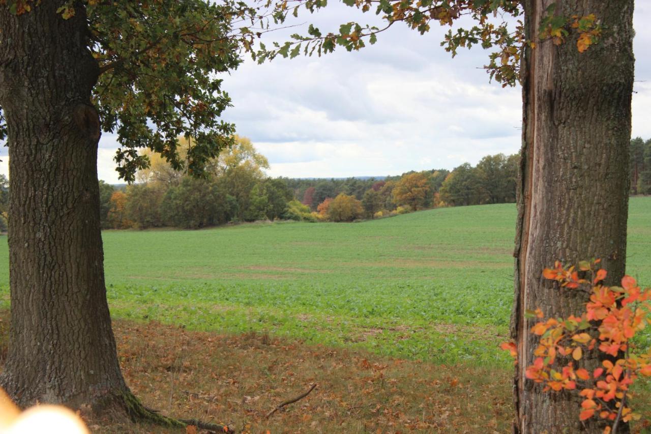 Gospodarstwo Agroturystyczne Agroletnica Świdnica Εξωτερικό φωτογραφία