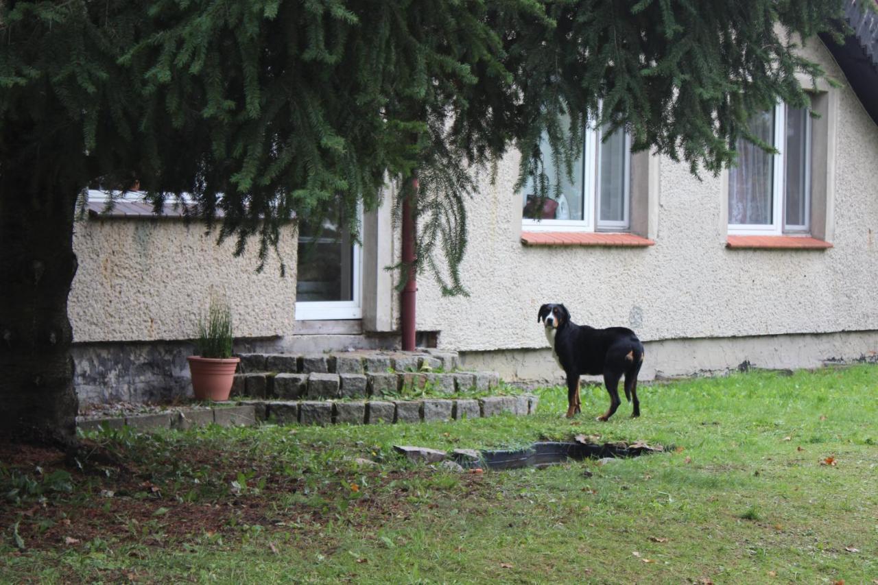 Gospodarstwo Agroturystyczne Agroletnica Świdnica Εξωτερικό φωτογραφία
