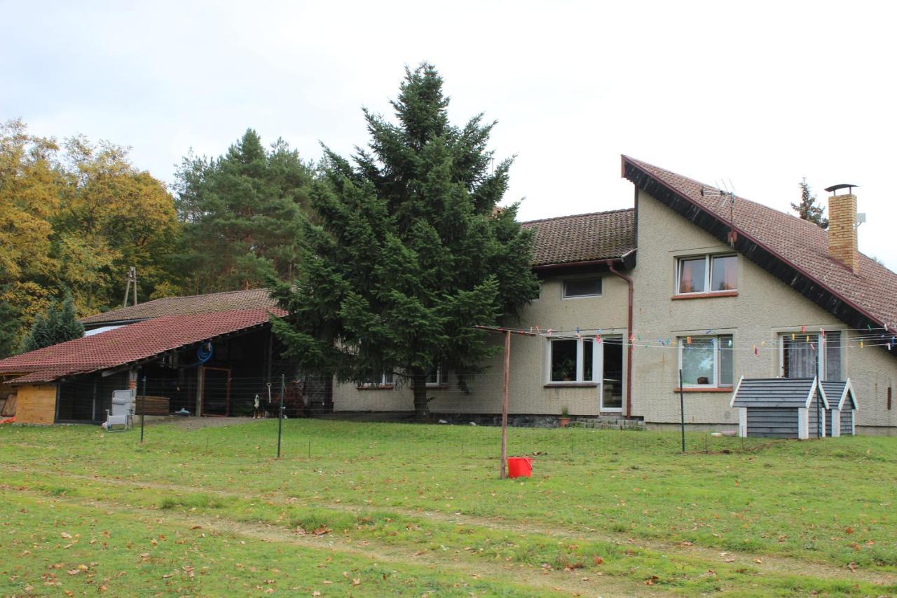 Gospodarstwo Agroturystyczne Agroletnica Świdnica Εξωτερικό φωτογραφία