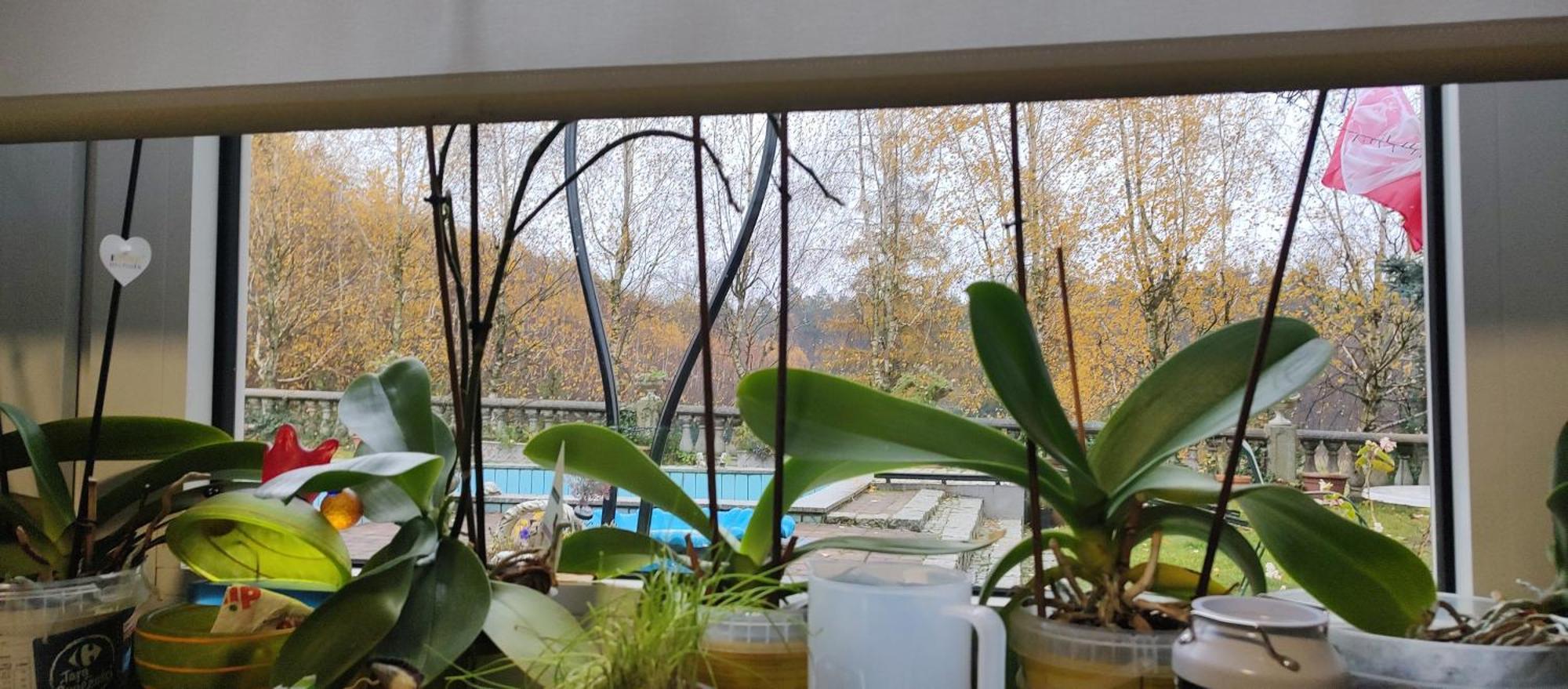 Gospodarstwo Agroturystyczne Agroletnica Świdnica Εξωτερικό φωτογραφία