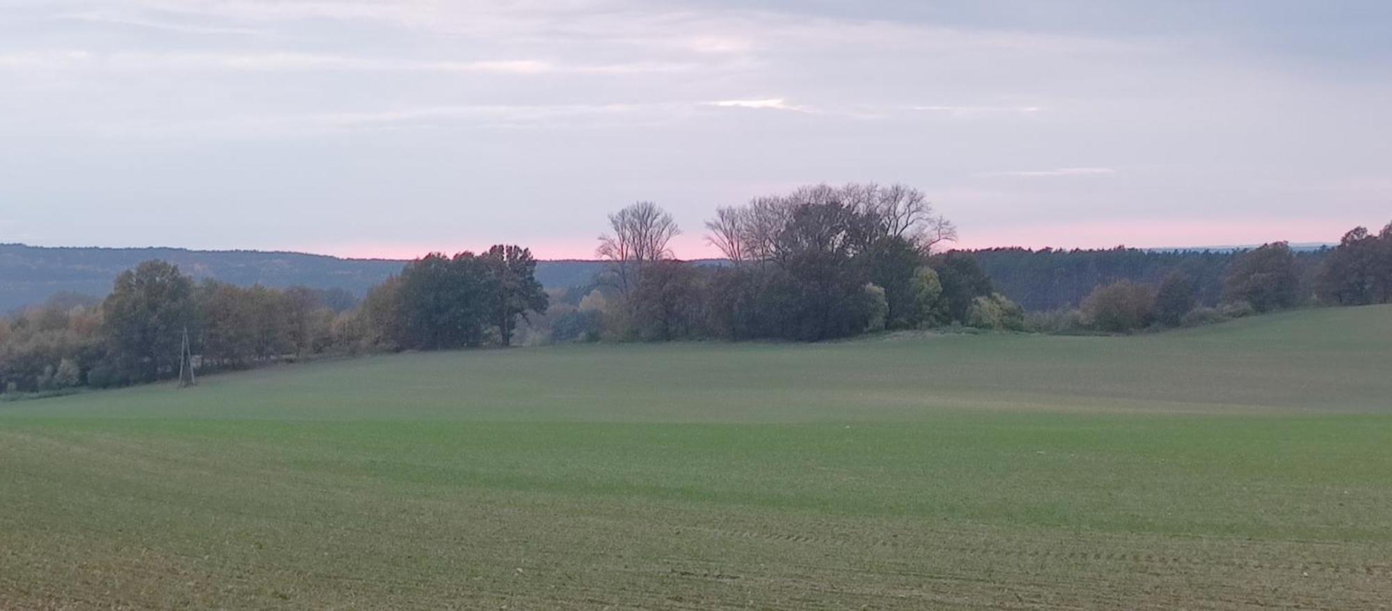 Gospodarstwo Agroturystyczne Agroletnica Świdnica Εξωτερικό φωτογραφία